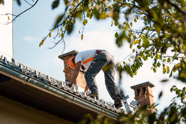 Best Residential Roofing Contractor  in Le Claire, IA