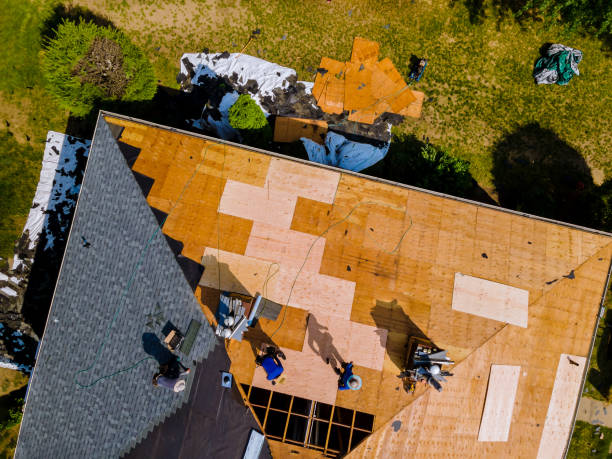 Best Affordable Roof Replacement  in Le Claire, IA