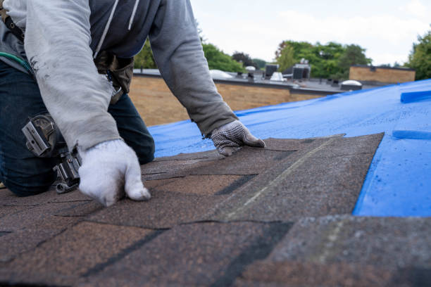 Best Roof Restoration Services  in Le Claire, IA