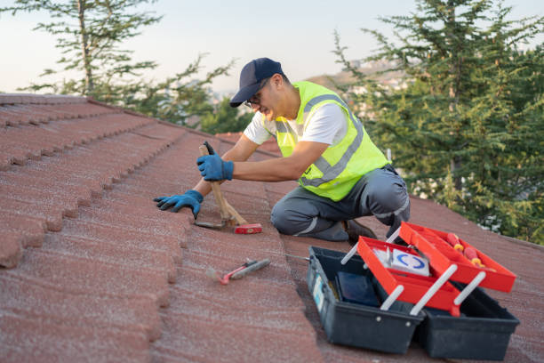 Best Residential Roofing Contractor  in Le Claire, IA