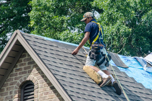 Best New Roof Installation  in Le Claire, IA